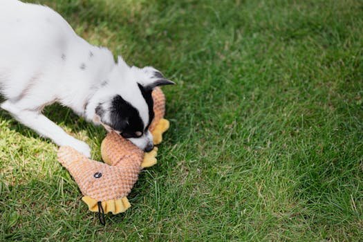 Adorable puppy biting a toy on a lush green lawn. Perfect playful moment captured outdoors. enriquecimento ambiental