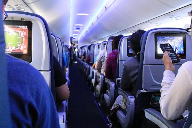 Vai viajar com pets de avião? Conheça as novas regras das companhias aéreas, documentos obrigatórios e as especificações de caixas de transporte exigidas para voos.