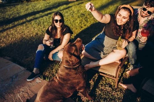 Quer aprender receitas saudáveis para seu pet? Conheça 3 opções fáceis de petiscos caseiros para cães com poucos ingredientes e melhore a imunidade do seu amigo.