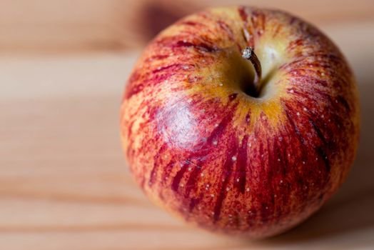 Descubra quais frutas e legumes seu cachorro pode comer com segurança e conheça os 5 alimentos vegetais proibidos que causam intoxicações graves em cães.