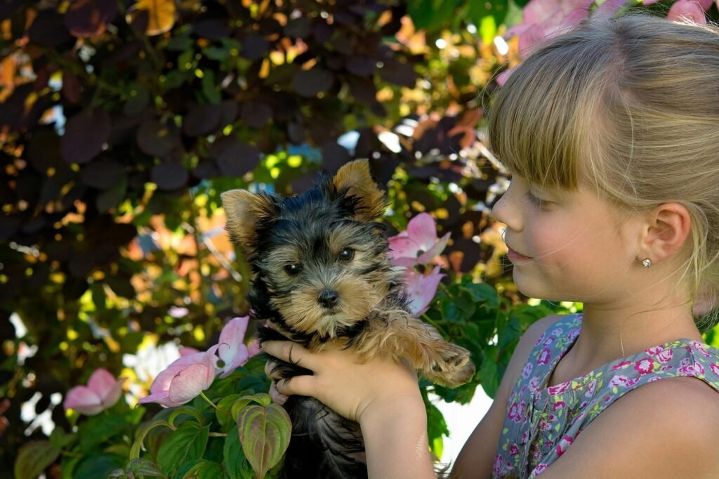 A young girl lovingly holds a Yorkshire Terrier puppy amidst vibrant garden blooms.