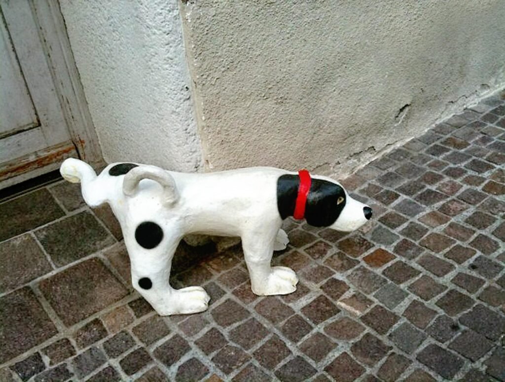 stone dog, pee, roadside, dog, domestic animal, made of stone, yes we can, pee, pee, pee, pee, pee