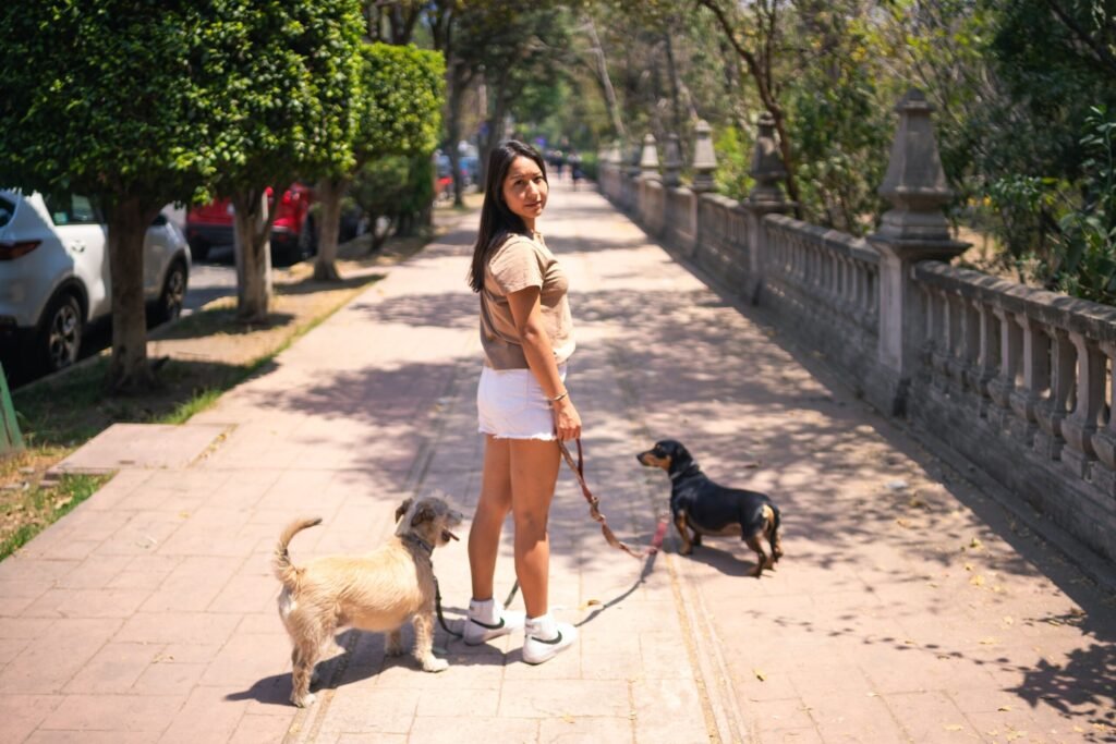 A young woman walking two dogs on a sunny day in a Mexico City park.