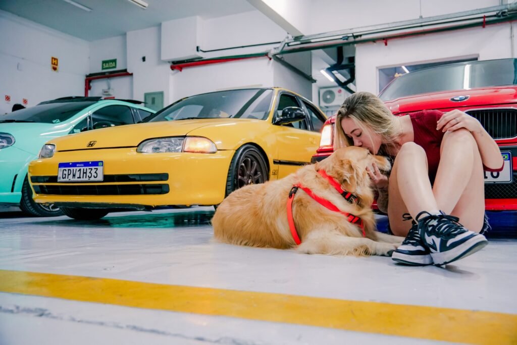 A woman sitting with her Golden Retriever in a garage with vibrant cars.