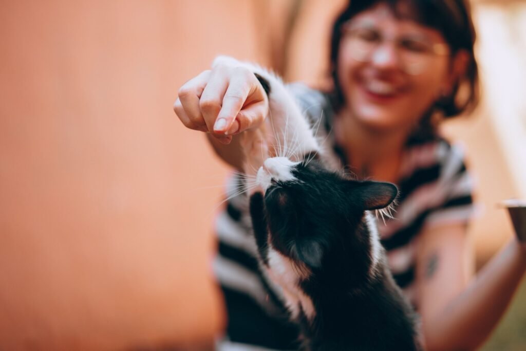 Blurred woman playing with a happy black and white cat outdoors.
